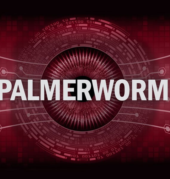 Palmerworm - atacuri cibernetice de lunga durata